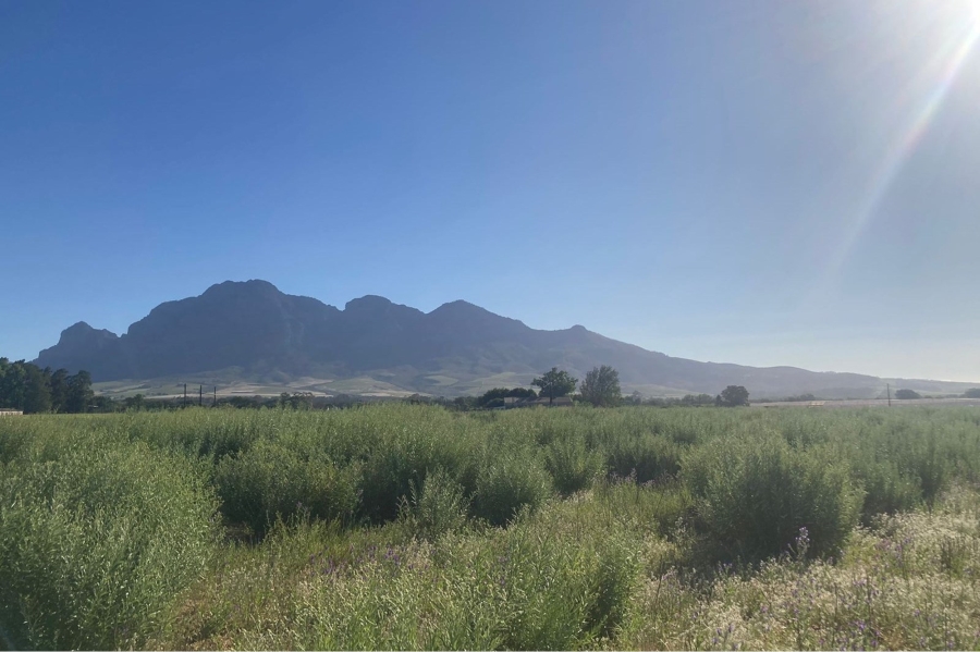 0 Bedroom Property for Sale in Paarl South Western Cape